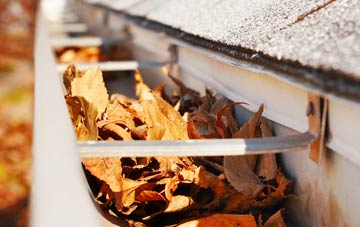 Balmalcolm gutter cleaning companies