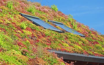 Balmalcolm living roof systems