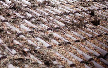 Balmalcolm roof cleaning companies