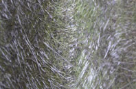 Balmalcolm fibreglass roof work